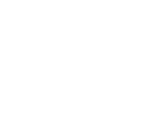 Flints.dev
